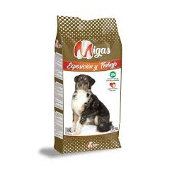 Migas Exposición y Trabajo