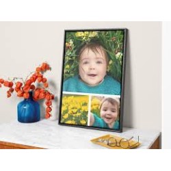 Lienzo HOFMANN 20 X 30